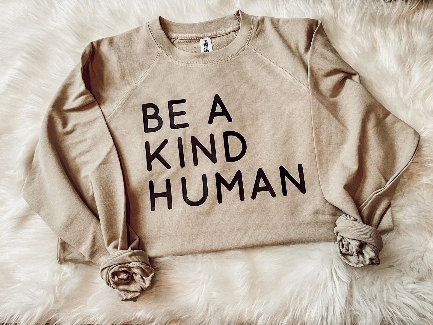 Be A Kind Human Sweatshirt/Tee